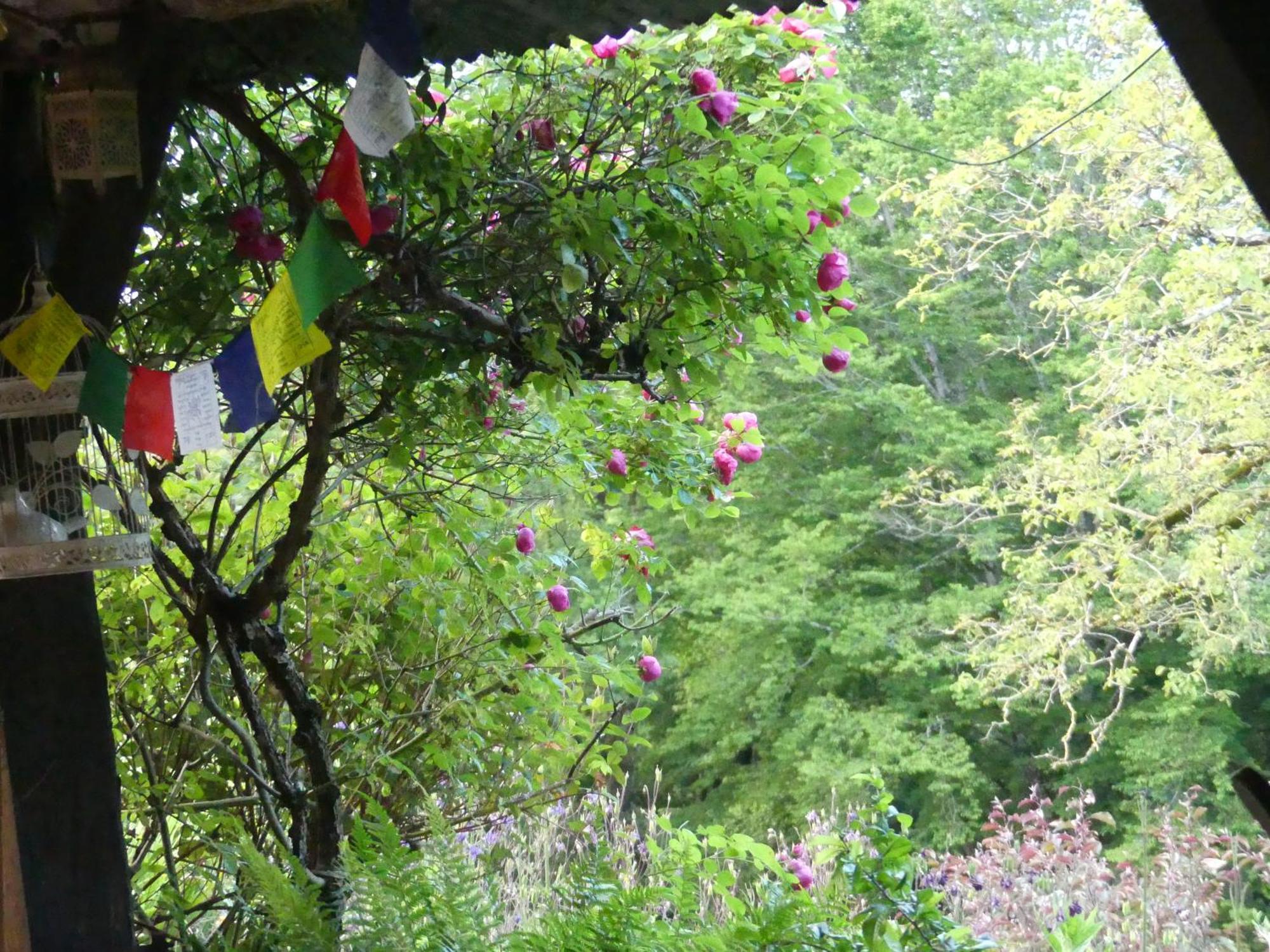 Bed and Breakfast Au Coeur Des Loges Saint-Bonnet-de-Bellac Exterior foto